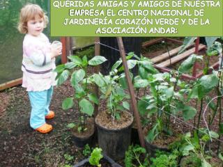 HORTALIZAS SIN PESTICIDAS , DE EXCELENTE CALIDAD Y A ¡PRECIOS MEJORES QUE EN EL SUPERMERCADO!