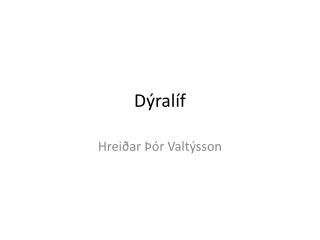 Dýralíf