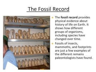 The Fossil Record