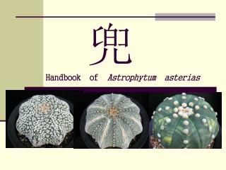 兜 Handbook of Astrophytum asterias
