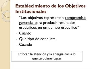 Establecimiento de los Objetivos Institucionales