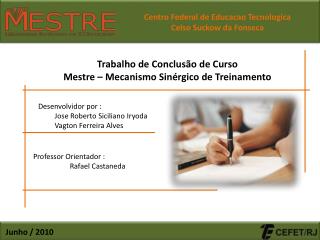 Trabalho de Conclusão de Curso Mestre – Mecanismo Sinérgico de Treinamento