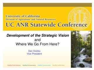 Development of the Strategic Vision and Where We Go From Here?