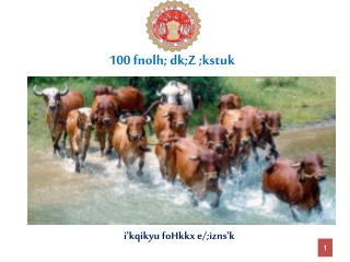 100 fnolh; dk;Z ;kstuk