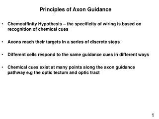 Principles of Axon Guidance
