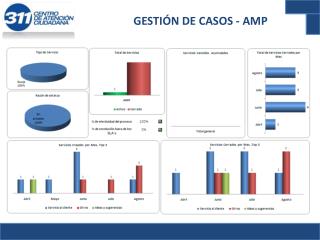 GESTIÓN DE CASOS - AMP