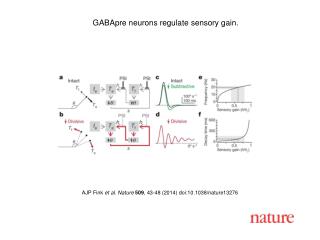 AJP Fink et al. Nature 509 , 43-48 (201 4 ) doi:10.1038/nature 13276