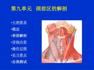 第九单元 颈前区的解剖 大纲要求 概述 表面解剖 详细内容 操作过程 实习要点 自我测试