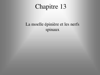 Chapitre 13