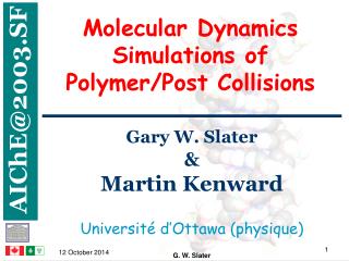 Molecular Dynamics Simulations of Polymer/Post Collisions