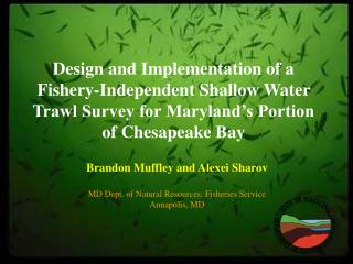 Brandon Muffley and Alexei Sharov MD Dept. of Natural Resources, Fisheries Service Annapolis, MD