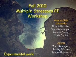 Fall 2010 Multiple Stressors PI Workshop