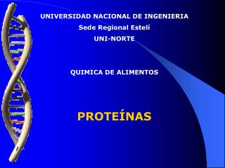 UNIVERSIDAD NACIONAL DE INGENIERIA Sede Regional Estelí UNI-NORTE QUIMICA DE ALIMENTOS PROTEÍNAS