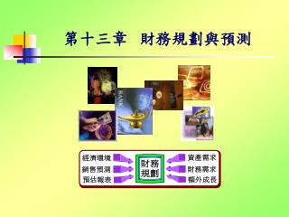 第十三章 財務規劃與預測