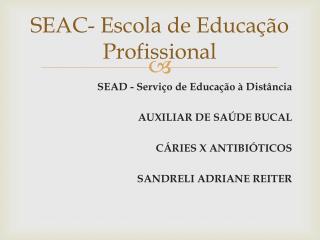 SEAC- Escola de Educação Profissional