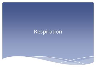 Respiration