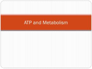 ATP and Metabolism
