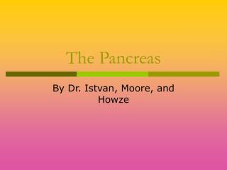 The Pancreas