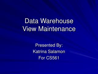 Data Warehouse View Maintenance