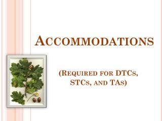 Accommodations (Required for DTCs, STCs, and TAs)