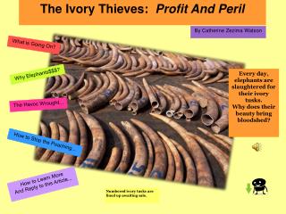 The Ivory Thieves: Profit And Peril