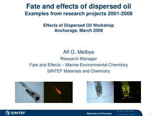 Alf G. Melbye Research Manager Fate and Effects – Marine Environmental Chemistry