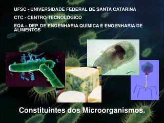 Constituintes dos Microorganismos.
