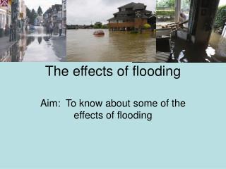 The effects of flooding