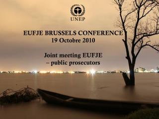 EUFJE BRUSSELS CONFERENCE 19 Octobre 2010 Joint meeting EUFJE – public prosecutors ,