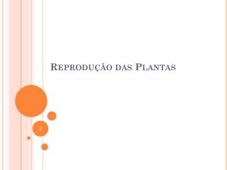 Reprodução das Plantas