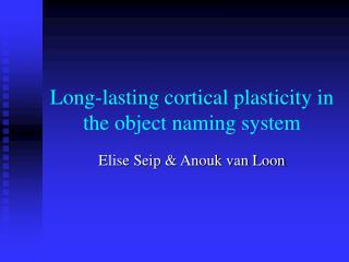 Long-lasting cortical plasticity in the object naming system