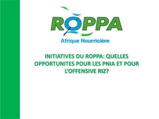 INITIATIVES DU ROPPA: QUELLES OPPORTUNITES POUR LES PNIA ET POUR L’OFFENSIVE RIZ?