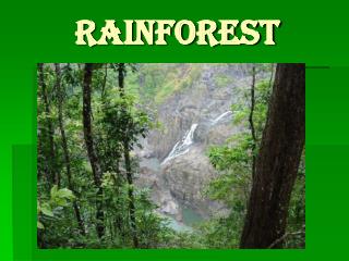 RAinforest