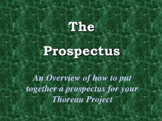 The Prospectus