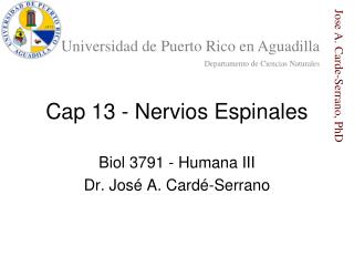 Cap 13 - Nervios Espinales