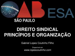 DIREITO SINDICAL PRINCÍPIOS E ORGANIZAÇÃO Gabriel Lopes Coutinho Filho Disponível em