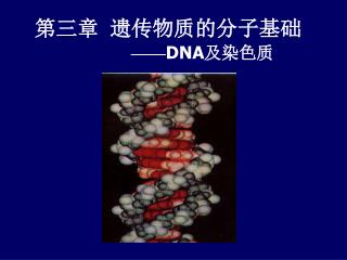 第三章 遗传物质的分子基础 —— DNA 及染色质
