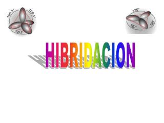 HIBRIDACION