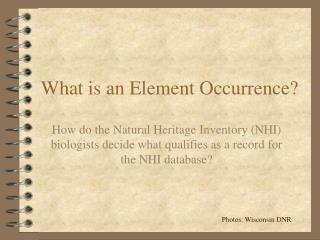 What is an Element Occurrence?