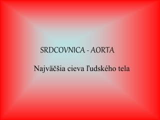 SRDCOVNICA - AORTA