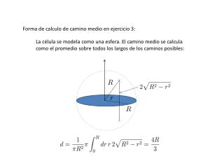 Forma de calculo de camino medio en ejercicio 3: