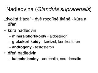 Nadledvina ( Glandula suprarenalis )