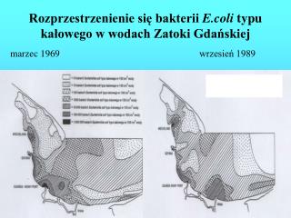 Rozprzestrzenienie się bakterii E.coli typu kałowego w wodach Zatoki Gdańskiej