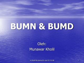 BUMN &amp; BUMD