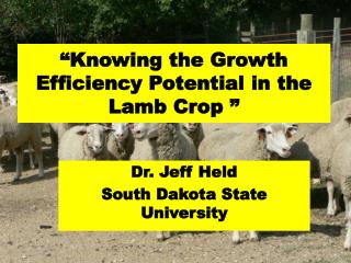 “Knowing the Growth Efficiency Potential in the Lamb Crop ”