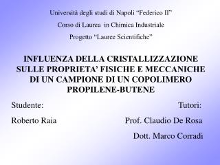 Università degli studi di Napoli “Federico II” Corso di Laurea in Chimica Industriale