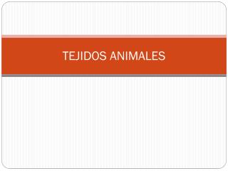 TEJIDOS ANIMALES