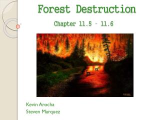 Forest Destruction Chapter 11.5 – 11.6