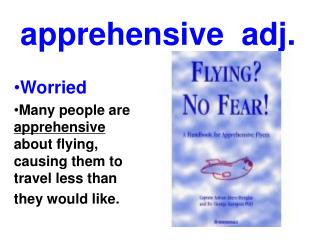 apprehensive adj.