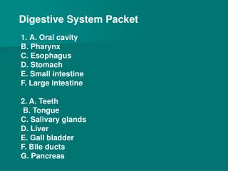 Digestive System Packet